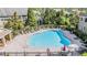 Community swimming pool surrounded by lounge chairs, umbrellas, fencing, and mature trees at 12537 Silverdale St, Tampa, FL 33626