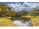 Scenic pond view with mature trees and lush greenery at 20 Sylvia Pl, Oldsmar, FL 34677
