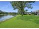 Expansive backyard with a well-manicured lawn, trees, and a serene pond view from the property at 15555 Martinmeadow Dr, Lithia, FL 33547