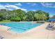 Large community pool with plenty of lounge chairs surrounded by lush landscaping and clear blue skies at 15555 Martinmeadow Dr, Lithia, FL 33547