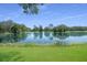 Scenic pond view with lush green grass and various trees around the landscape, creating a serene and relaxing environment at 15555 Martinmeadow Dr, Lithia, FL 33547