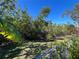 Large fenced backyard with grassy area and mature trees, offering privacy and space at 5730 16Th Ne Ln, St Petersburg, FL 33703
