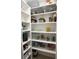 Organized pantry with ample shelving and storage baskets for optimal kitchen organization at 1179 Lawnview Ter, Trinity, FL 34655