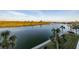 Breathtaking water view featuring tranquil waters, lush greenery, and graceful palm trees at 18325 Gulf Blvd # 405, Redington Shores, FL 33708