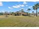Lush backyard with palm trees and well-maintained lawn at 1311 Caloosa Lake Ct, Sun City Center, FL 33573