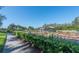 Walkway by the community garden with raised garden beds and small gazebo to enjoy the outdoors at 15856 Cobble Mill Dr, Wimauma, FL 33598