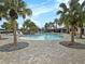 Outdoor swimming pool surrounded by lounge chairs and mature palm trees at 8463 Canyon Creek Trl, Parrish, FL 34219