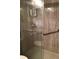Bathroom featuring a walk-in shower with grab bars and glass door at 2060 Marilyn St # 133, Clearwater, FL 33765