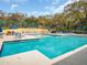 A community pool with cool blue water, plenty of deck chairs and some shade umbrellas at 2730 5Th Ct, Palm Harbor, FL 34684