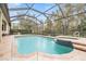 Sparkling pool with an attached spa, surrounded by a screened enclosure and lush landscaping at 19116 Sweet Clover Ln, Tampa, FL 33647