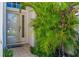 Inviting front door with decorative glass, complemented by lush tropical greenery for a welcoming entrance at 4251 Whittner Dr, Land O Lakes, FL 34639