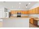 Well-lit kitchen features stainless steel appliances, ample wooden cabinets, and an extended countertop at 4251 Whittner Dr, Land O Lakes, FL 34639