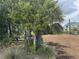 Inviting vacant lot featuring mature trees, native plants, and a new home is ready to be built at 830 S Davis Blvd, Tampa, FL 33606