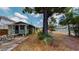 Exterior view of a house's backyard at 2418 2Nd S Ave, St Petersburg, FL 33712