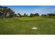 View of the golf green, flag, and a pile of golf balls showing the course condition at 2775 Kipps Colony S Dr # 105, Gulfport, FL 33707