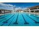 Spacious swimming pool with clear blue water and palm trees, ideal for swimming and relaxing under the sun at 2775 Kipps Colony S Dr # 105, Gulfport, FL 33707