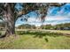 Expansive green space with mature trees adding shade and beauty to the community at 9204 Golf View Dr, New Port Richey, FL 34655