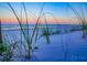 Coastal scenery showcases a serene beach with lush dune grass and clear water in the background at 12361 114Th St, Largo, FL 33778