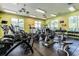 A well-equipped gym features cardio machines, weightlifting equipment, and lots of natural light at 20209 Merry Oak Ave, Tampa, FL 33647