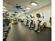 Bright gym space with cardio machines including treadmills and ellipticals for a complete workout at 4110 Huntingdale Ct, Wesley Chapel, FL 33543