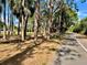 View of the treed landscape surrounding the property, promoting a quiet country lifestyle at 346 80Th Ne Ave, St Petersburg, FL 33702