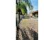 Fenced backyard featuring a palm tree, a screened-in patio, and plenty of space for outdoor activities at 1670 Monterey Dr, Clearwater, FL 33756