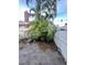Outdoor area with stone pavers, an assortment of lush tropical plants, and a weathered fence at 50 Acacia St, Clearwater Beach, FL 33767