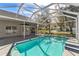 Backyard pool with screened-in enclosure; a perfect oasis for relaxing and entertaining at 1764 Oak Spring Dr, Tarpon Springs, FL 34689