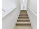 Carpeted staircase with white walls and railings leading to upper level at 1764 Oak Spring Dr, Tarpon Springs, FL 34689