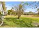 Large backyard featuring lush grass, mature trees, and view of neighboring homes at 1007 Lake Avoca Dr, Tarpon Springs, FL 34689