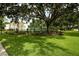 A neighborhood street with a tennis court and a large, shady tree and green grass at 102 Brent Cir, Oldsmar, FL 34677