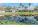 Beautiful backyard with a pond view and well-maintained lawn at 27045 Firebush Dr, Wesley Chapel, FL 33544