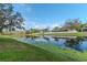 Scenic pond view with lush greenery, reflecting the sky and surrounding homes with white picket fences at 27045 Firebush Dr, Wesley Chapel, FL 33544