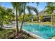 Inviting backyard pool with poolside lounge chairs, tropical palm trees, and meticulous landscaping at 3005 S Miller Rd, Valrico, FL 33596