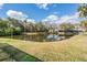Scenic backyard with a tranquil pond surrounded by lush greenery and palm trees at 1123 Hounds Run, Safety Harbor, FL 34695