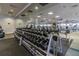 Extensive weight area in a modern gym with large mirrors at 16206 Diamond Bay Dr, Wimauma, FL 33598