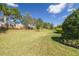 Large, well-maintained backyard with lush green grass, mature trees, and a privacy fence at 11563 Callisia Dr, Odessa, FL 33556