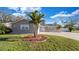 Charming single-Gathering home featuring a lush lawn, palm tree and a paved driveway under a bright blue sky at 15701 Springmoss Ln, Tampa, FL 33624