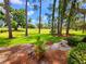 View of a lush green backyard with mature trees and well-manicured landscaping at 16311 Colwood Dr, Odessa, FL 33556