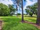 Scenic view of a lush green backyard with mature trees, blue skies, and a serene pond at 16311 Colwood Dr, Odessa, FL 33556