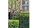 Beautiful hawk perched on a backyard fence, surrounded by lush greenery and natural beauty at 16311 Colwood Dr, Odessa, FL 33556