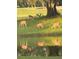 Deer herd grazes by the water's edge at 16311 Colwood Dr, Odessa, FL 33556