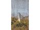 A white bird stands by a tree, overlooking the lake at 650 Saxony Blvd, St Petersburg, FL 33716