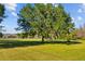 Expansive backyard featuring a mature tree with Spanish moss, complemented by the house in the background at 7213 Jones Rd, Odessa, FL 33556