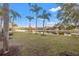 Backyard view of lake featuring well-maintained landscaping and mature trees at 3830 Moreno Dr, Palm Harbor, FL 34685