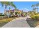 Beautifully landscaped front yard featuring a well-maintained lawn and mature palm trees enhancing curb appeal at 3830 Moreno Dr, Palm Harbor, FL 34685