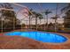 Gorgeous screened pool with brick accents and a relaxing spa, perfect for outdoor entertainment at 3830 Moreno Dr, Palm Harbor, FL 34685