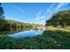 Picturesque lake view with a quaint dock, tranquil water, and lush landscaping, creating a serene and inviting outdoor space at 1230 7Th Ne Ave, Largo, FL 33770