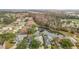 Community aerial view features well-maintained homes near a tranquil pond and wooded areas at 29523 Waggle Dr, San Antonio, FL 33576