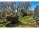 Spacious backyard with verdant lawn and perimeter landscaping at 8205 Prairie Ridge Way, Tampa, FL 33647